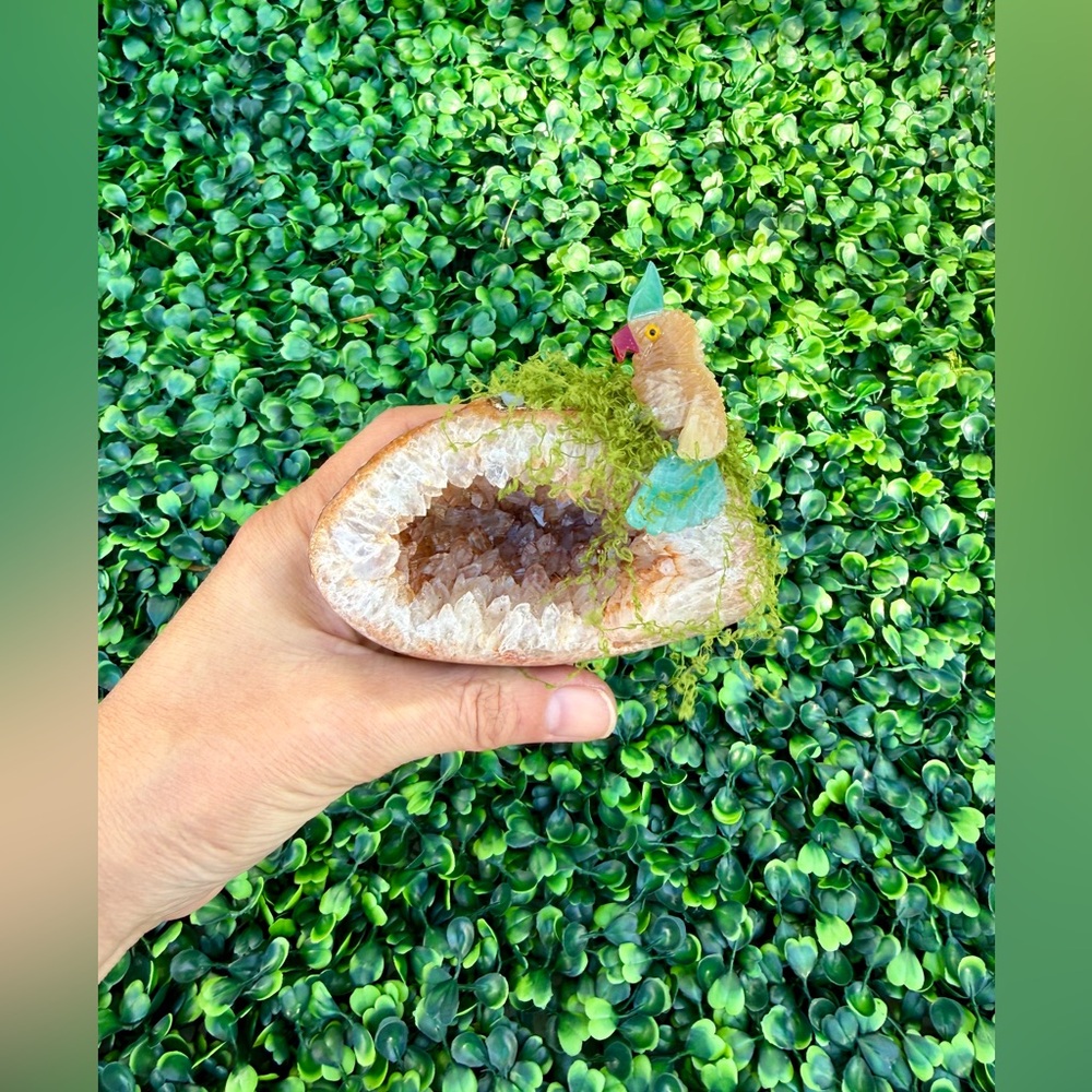 Parrot carving on Agate Geode – Handcrafted